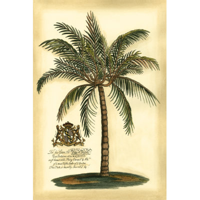 British Colonial Palm III