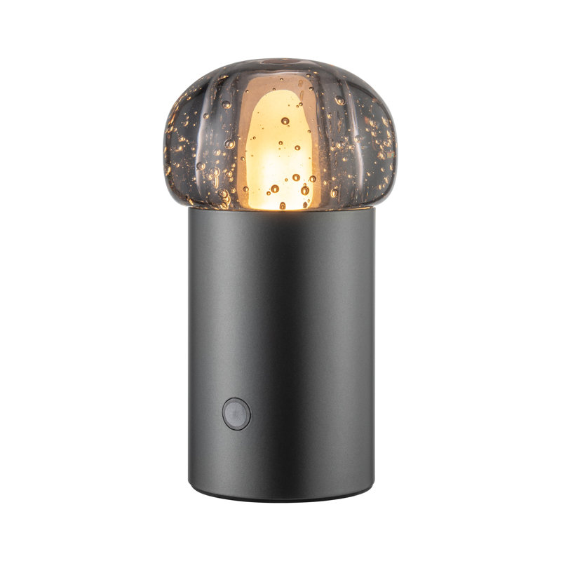 IRIS Metal Globe Lamp, Gunmetal Gray