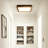 LED Light Flush Mount Ceiling Light