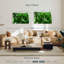 Palmier forêt-2126854796-2126854785