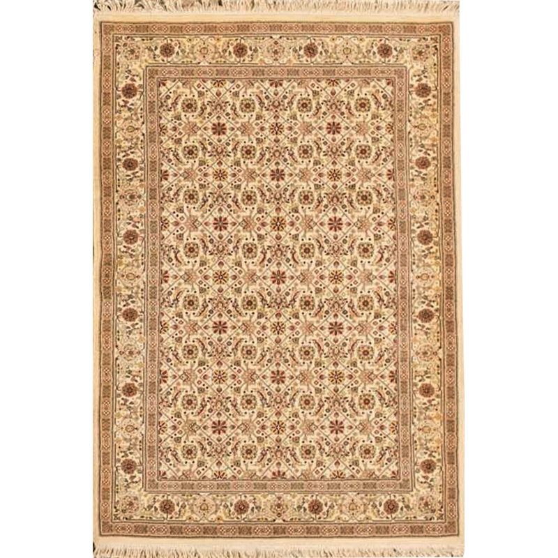 Wool Oriental Area Rug in Beige/Ivory