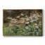 Paysage rétro - CMLXVII-1548645124-1548645127