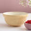 In The Meadow S30 Daffodil Mixing Bowl 21CM
