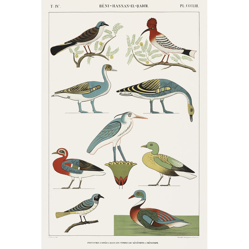 «Atrayu égyptien Bird Charts I» par Jean-François Champollion, L 12 po x H 18 po