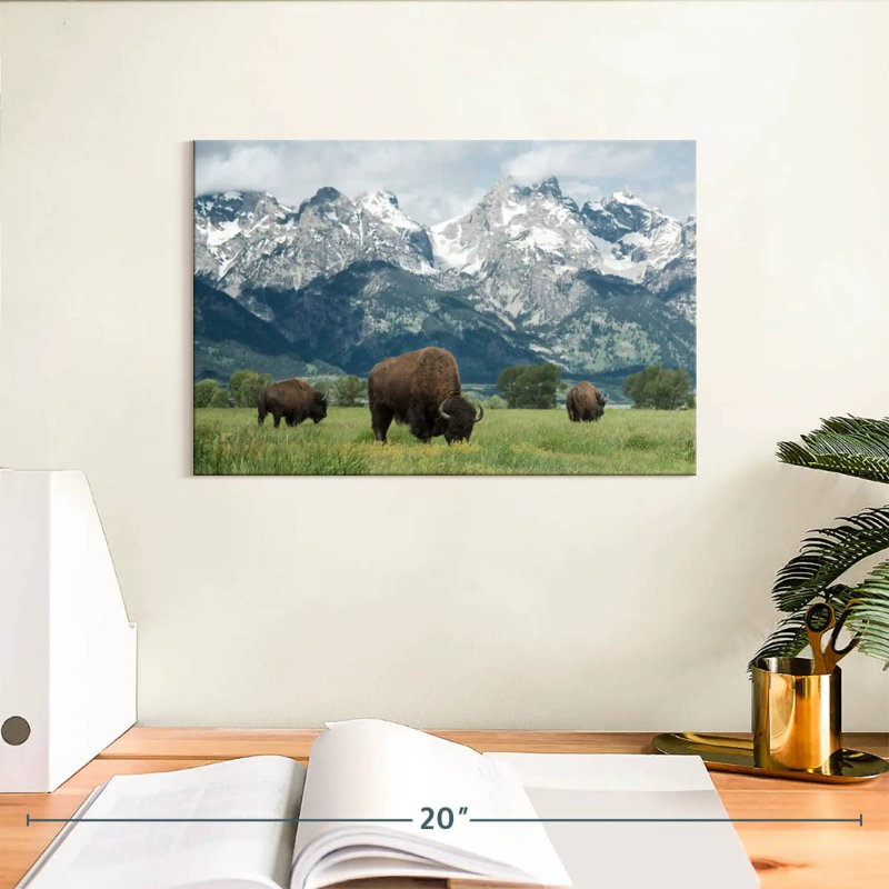 Grand Teton American Buffalo Herd sur toile, H 8 po x l 12 po x P 1 po