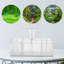 Aquarium de bureau Daythan