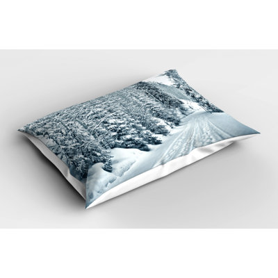 United Polyester Sham Set