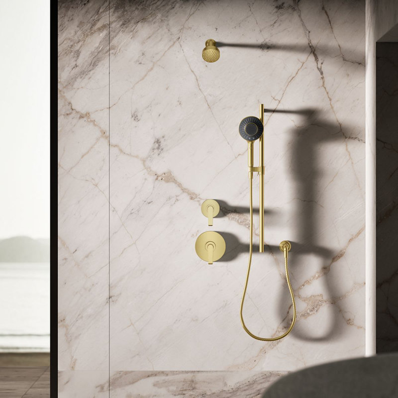 Spaviva Two-Function Handshower With All-In-One Cleansing Device 2.5 GPM, Brushed Brass