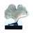 Feuille de ginkgo-20578504