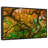Mossy Maple Tree Canvas Print-102358252
