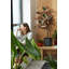 B.For Pot Planter-70004575-70004573
