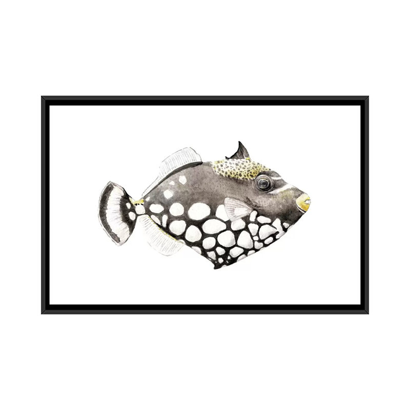 « tropical matin triggerfish », impression sur toile tendue, H 18 po x l 26 po x P 1,5 po, Toile avec cadre noir