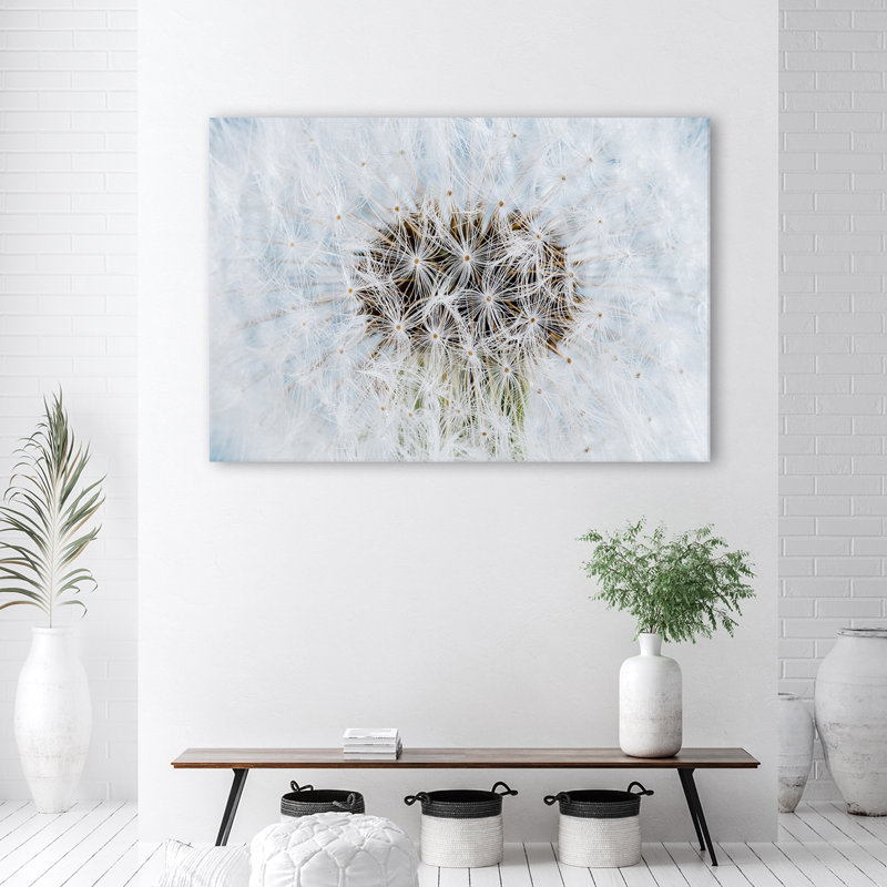 Painting, White Dandelion Plants - No Frame Print on Canvas, 60cm H x 90cm W