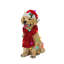 Christmas LED Lights Figurine