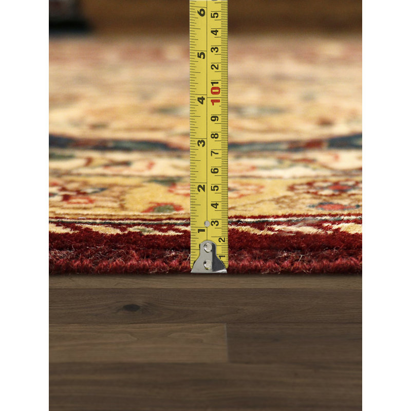 Agra Hand Knotted Wool Oriental Indoor Rug, Rectangle 11'2" x 18'4