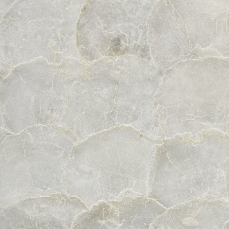 Papier peint Abalone