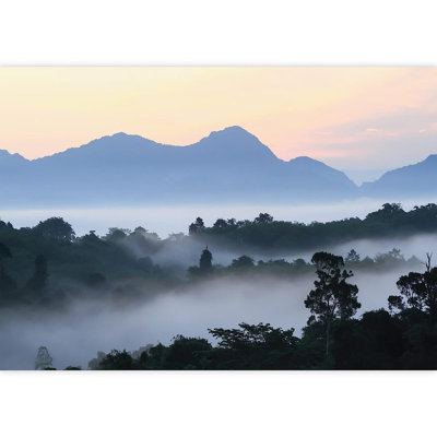 Sunset Dusk Sky Misty Forest Mountain 144' L x 100" W Wall Mural