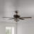 Richmon 52'' Ceiling Fan with Light Kit
