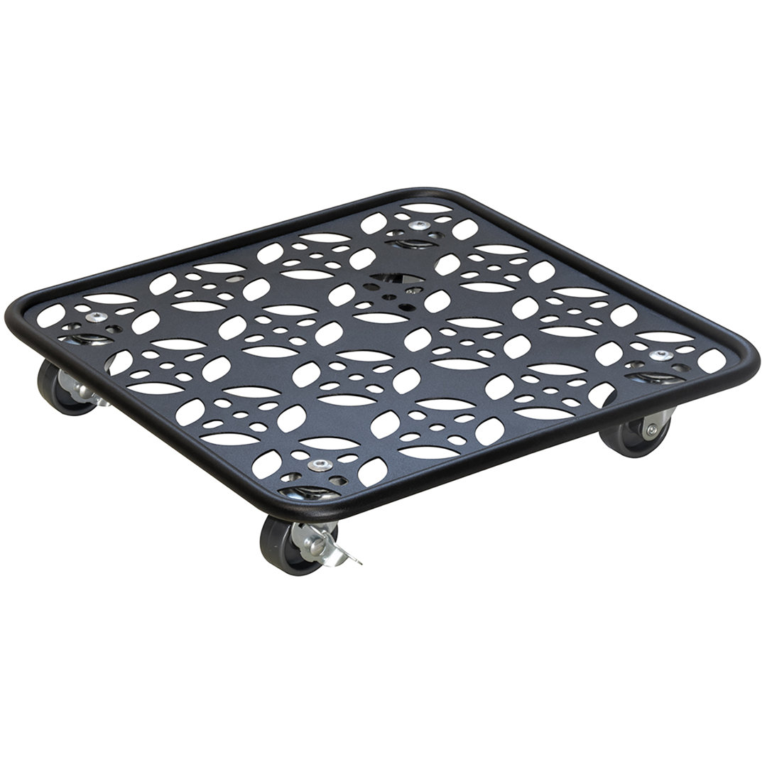 Wagner Design Yourself 11.8" Black Square Flower Steel Plant Caddy Aylinn Winston Porter