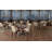 Pine Metal Base Dining Table-55808915