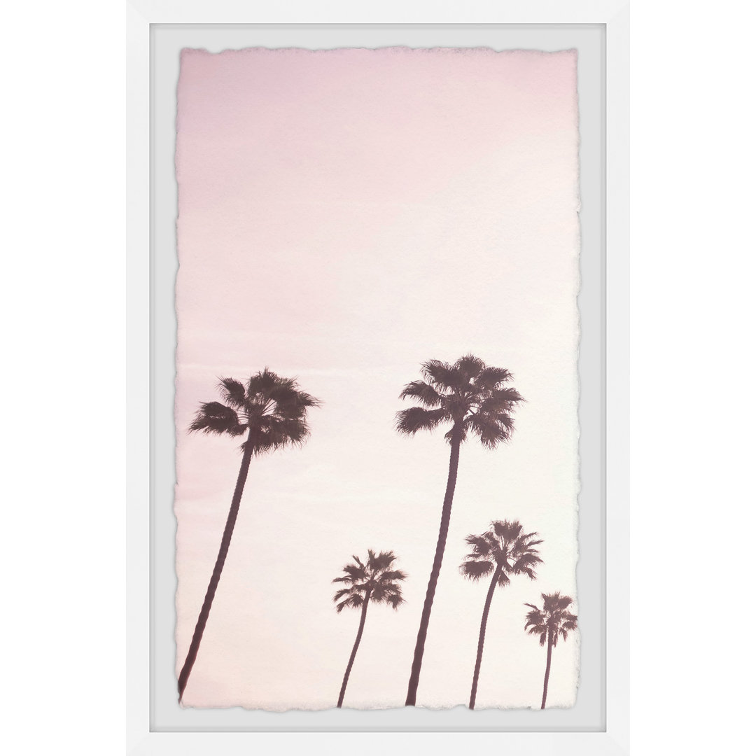 'Pink Sky and Palm Trees' - Picture Frame Photograph Print on Paper