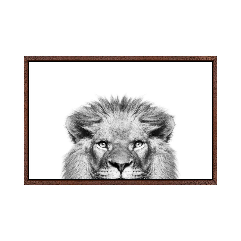 Peeking Lion by Sisi & Seb - Print on Canvas, 101.6 cm H x 66.04 cm W, Classic Brown Wood Framed