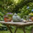 Chilmark Animals Figurines & Sculptures