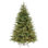 Pre-Lit Fraser Fir Christmas Tree