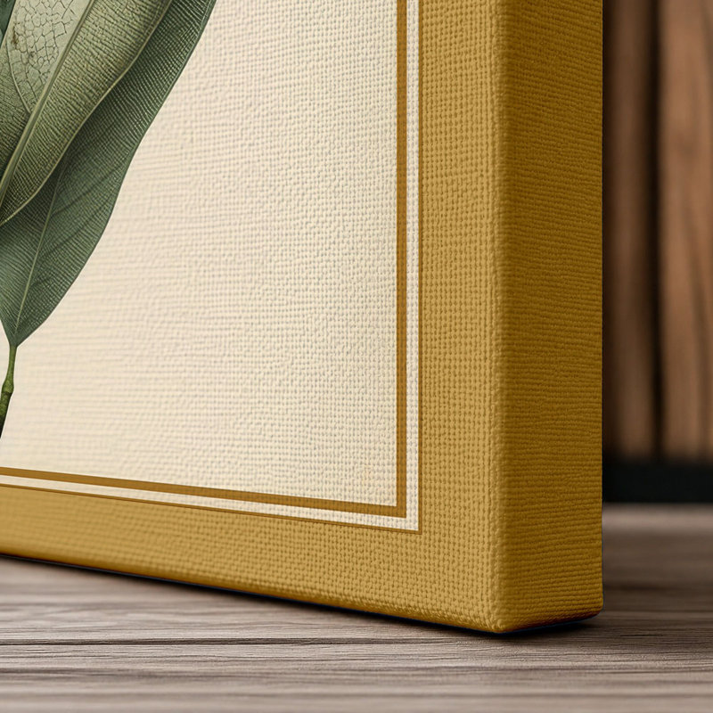 Study Botanical - Wrapped Canvas, 30x20 - 76.2 x 50.8 cm, Ochre Border
