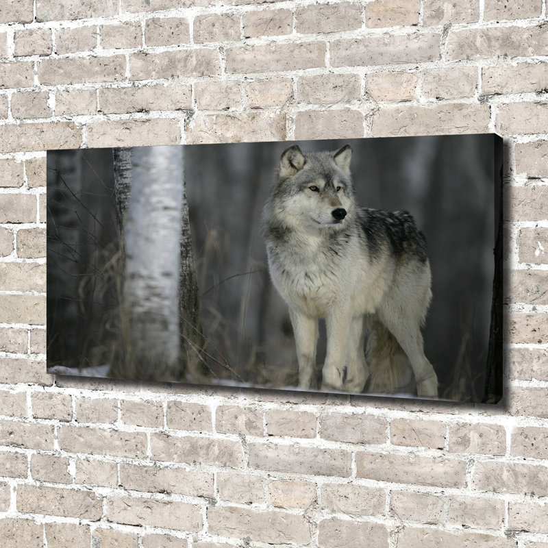 Grey Wolf - Wrapped Canvas Print