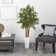 60'' Faux Bamboo Tree in Ceramic Planter