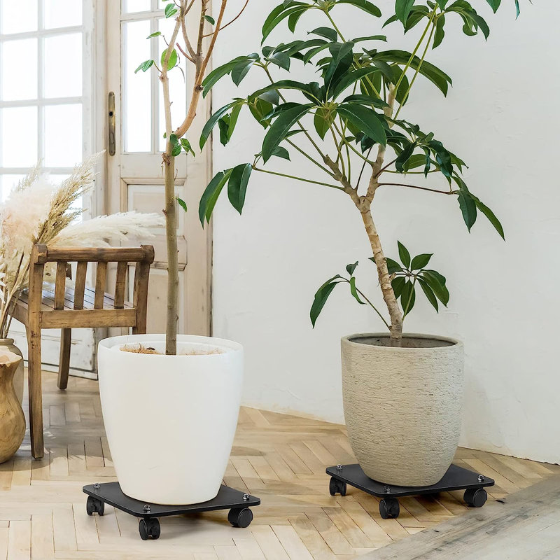 Support pour plante Larome, Noir