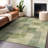 Machine Washable Indoor/Outdoor Christain ACN1261 Aloe Rug-109531759