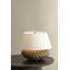 Arlin Table Lamp-1600490654