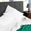 Ensemble de draps en coton biologique-1048626793-1048626796