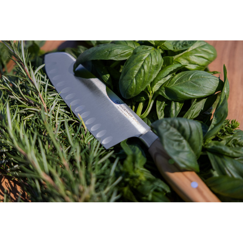 Amici Hollow Edge 6.69" Santoku Knife