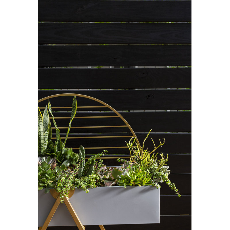 Auge pour plantes Karlee