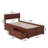Daurice Solid Wood Platform Bed with Panel Footboard & Storage Drawers-352388337-364139124
