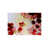 Image Brush Gel selected
