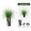 Arbre à oignon en soie - Plantes artificielles dans la décoration de sol extérieure moderne-97818045