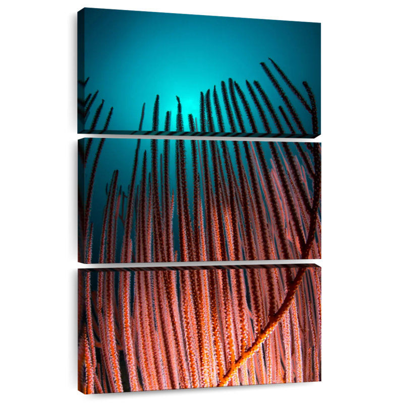 Brampt Coral And Teal, 74" H x 48" W