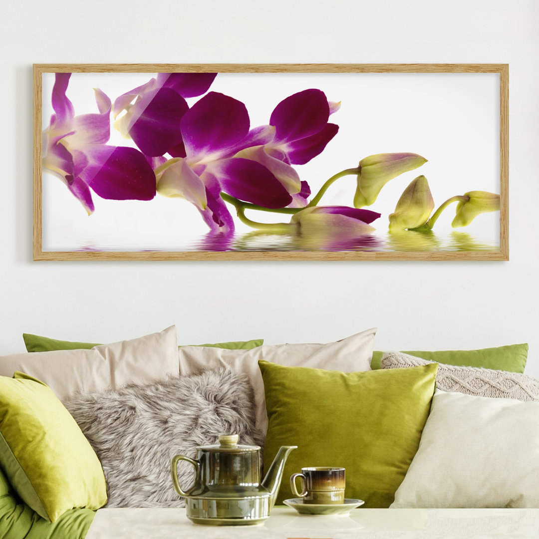 Gerahmtes Poster Pink Orchid Waters