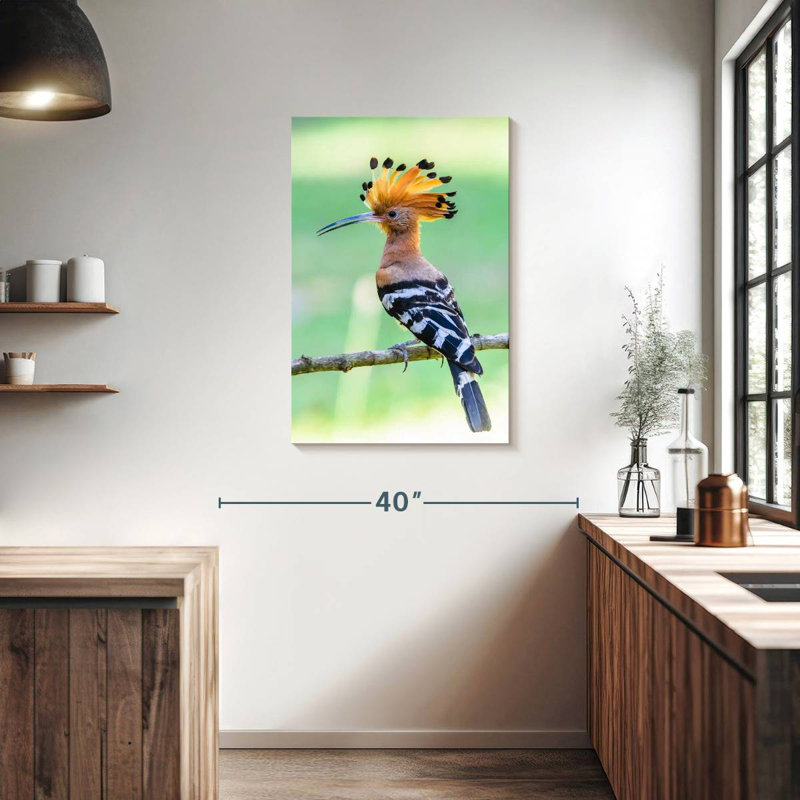 Brampt Common Hoopoe, 36" H x 24" W