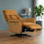 Alshawn Swivel Recliner-1280519245