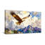 Animaux, aigle planant au-dessus des sommets, ciel nuageux-1969402522