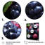 Ballet fruits sérénade - fruits, art mural-77898521