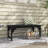 Outsunny Wooden Garden Bench, Outdoor Park Bench With Slatted Seat, Backless Front Porch Bench With Curved Seat For Conservatory, Garden, Poolside, Deck-510787275