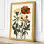 Carnation Study Botanical - Wrapped Canvas-1367518040-1367518046