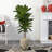 48" H Foliage Plant in Ceramic Planter