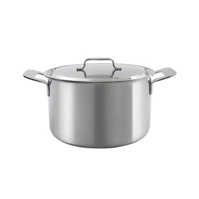 Professional Secrets Non-Stick Stainless Steel Standard Pot